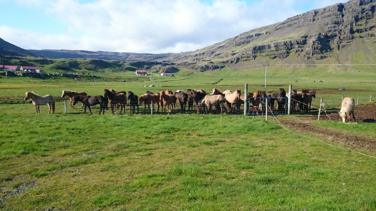 Laekjarhus Farm Holidays Borgarhöfn Exteriér fotografie