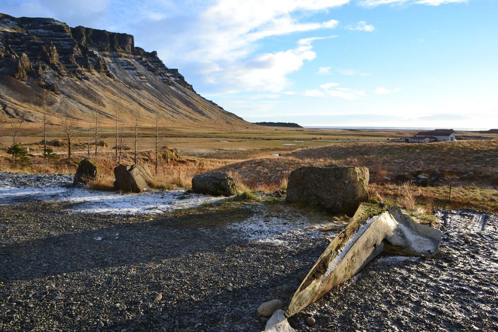 Laekjarhus Farm Holidays Borgarhöfn Exteriér fotografie