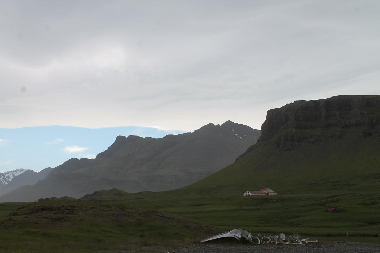 Laekjarhus Farm Holidays Borgarhöfn Exteriér fotografie